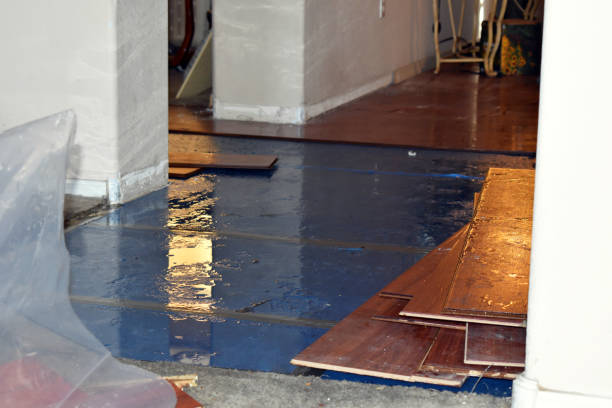 Professional Sewage Cleanup technician working in Jay, ME
